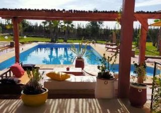 Terrasses vertes