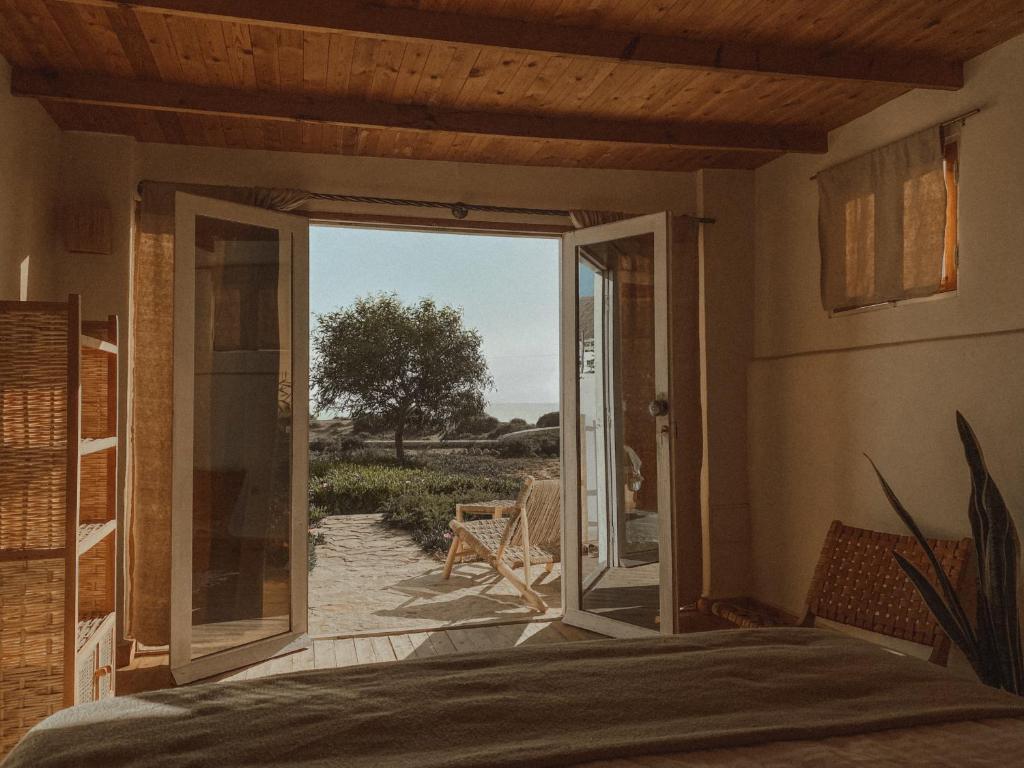 Dreamsea Imsouane Morocco Imsouane 04
