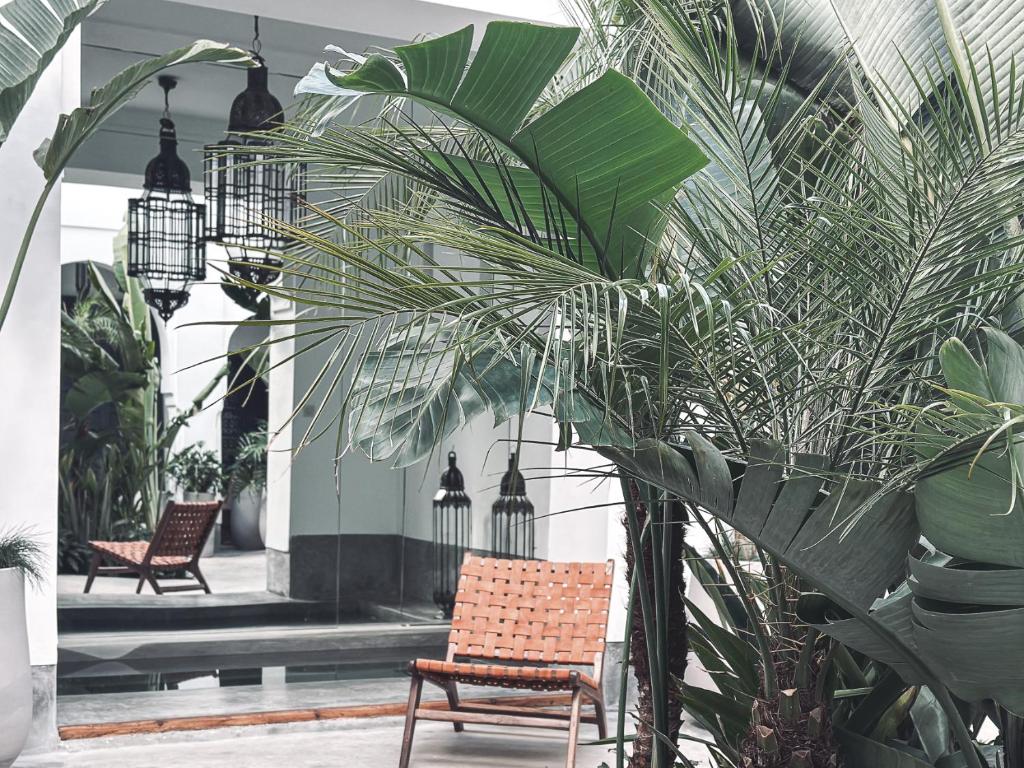 Riad Atay