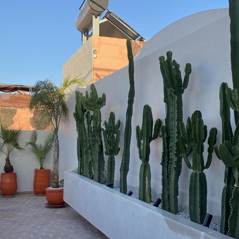 Riad Oasissime Marrakech 02