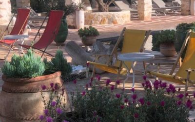 Sel d Ailleurs Ouirgane - adults only Ouirgane 01